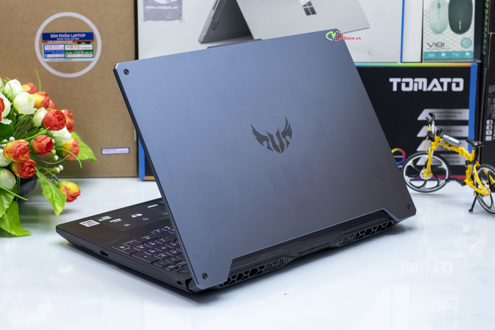 Asus Gaming FX506LH