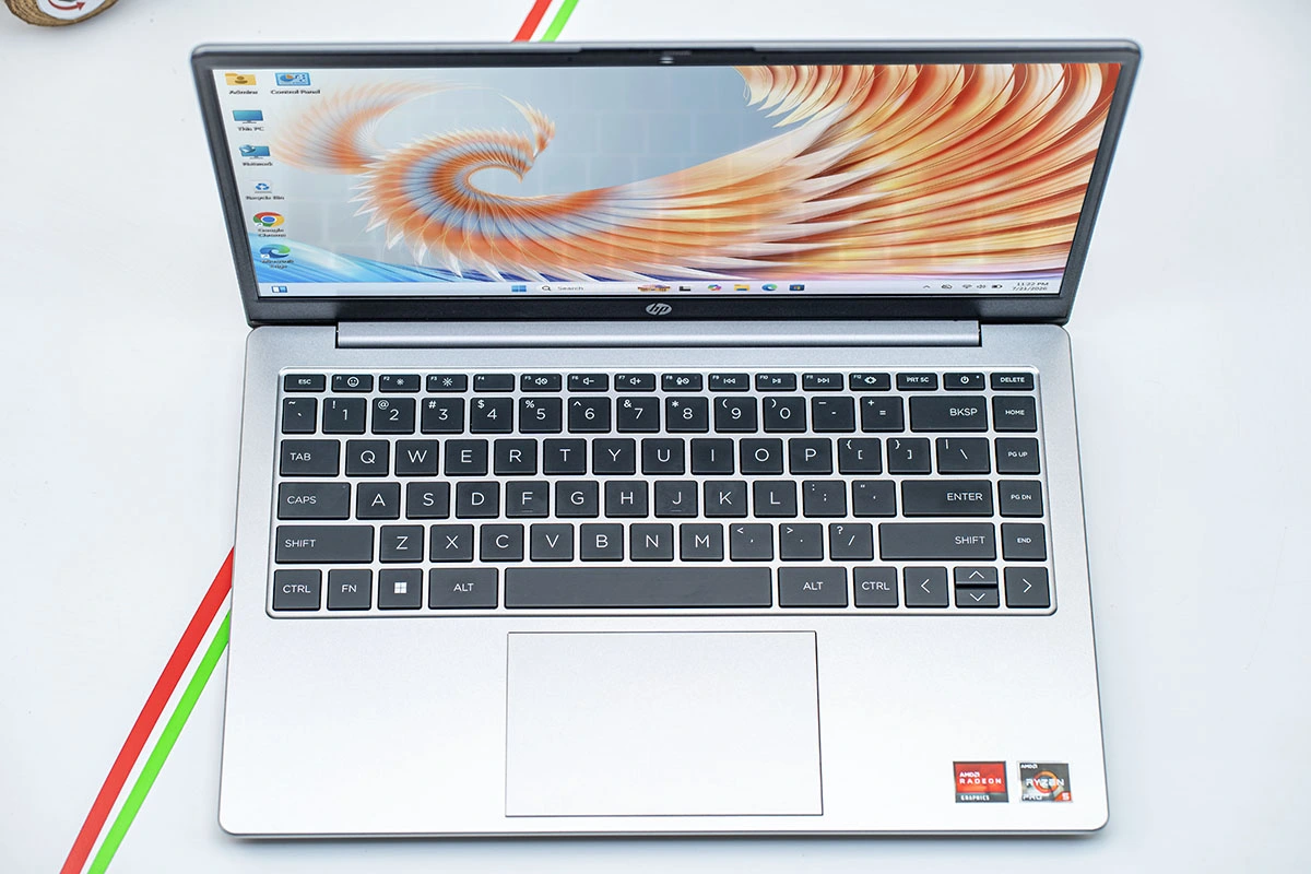 HP 245 G10